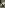 The JFK Image Titelbild